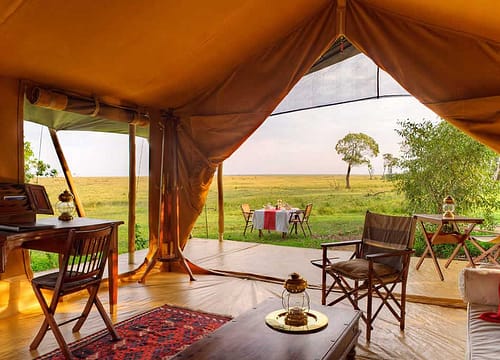 10 Best Luxury Lodges in Masai Mara for an Unforgettable Safari