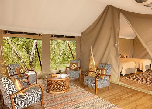 Top 7 Private Camps in Masai Mara