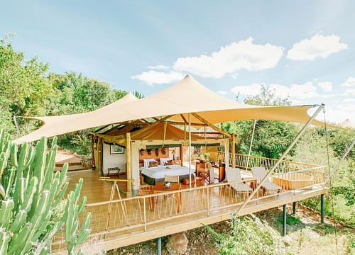 Mara Bushtops Camp: Where Luxury Meets Wilderness